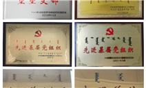 标题：以融合党建新模式 引领特检事业高质量发展——赤峰分院党群工作部
浏览次数：70
发表时间：2025-05-15