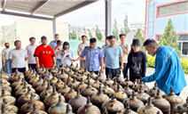 标题：特种设备安全宣传，乌海分院在行动
浏览次数：47
发表时间：2025-06-20