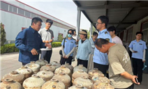 标题：乌海市市场监管局组织三区监管人员赴气瓶检验基地观摩学习
浏览次数：34
发表时间：2026-06-26