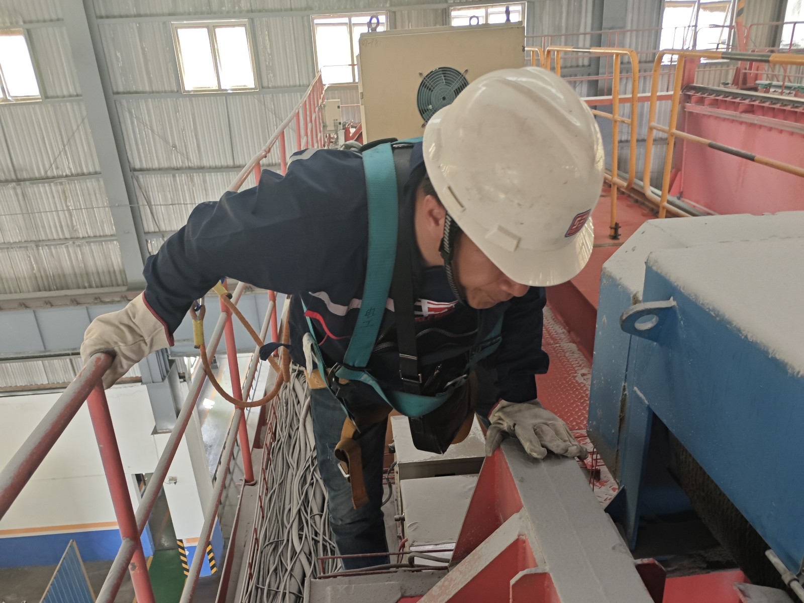 fileUpload (9)88_副本.jpg